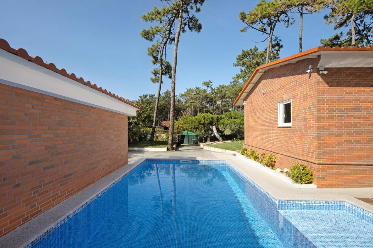 Moradia Pinheiro Manso Holiday home